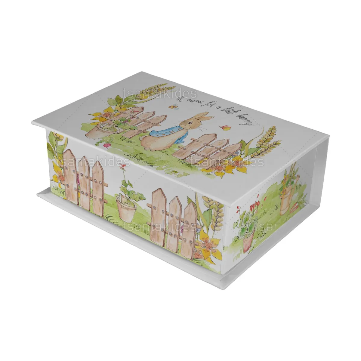 ΚΟΥΤΙ ΚΑΣΕΤΙΝΑ ΚΤ36 – TS417