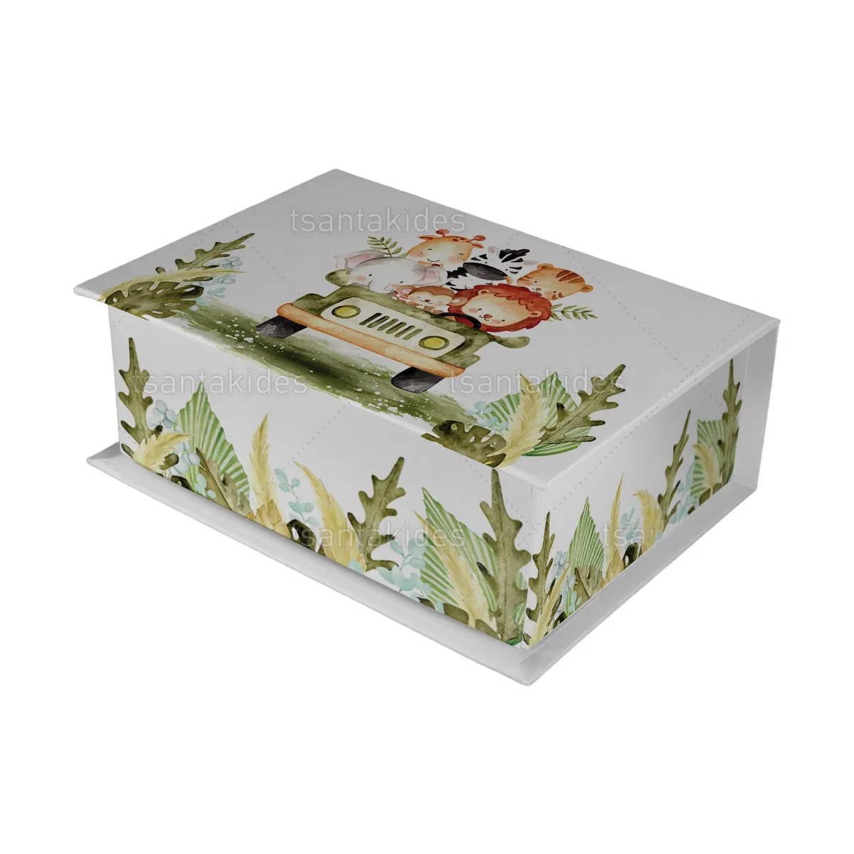 ΚΟΥΤΙ ΚΑΣΕΤΙΝΑ ΚΤ36 – TS422