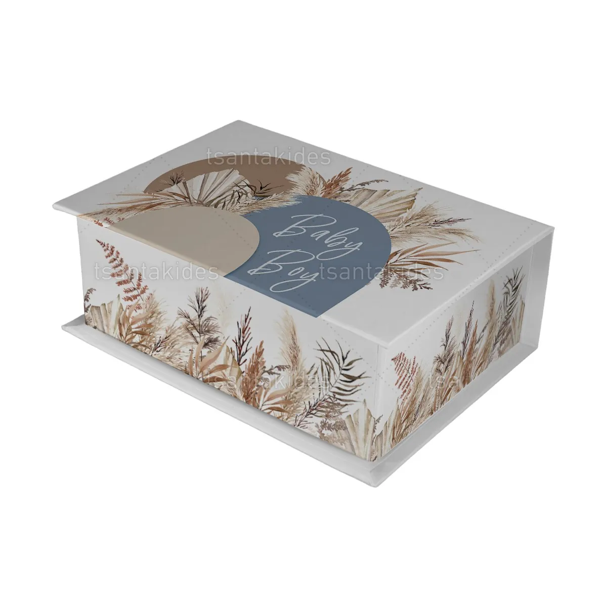 ΚΟΥΤΙ ΚΑΣΕΤΙΝΑ ΚΤ36 – TS423