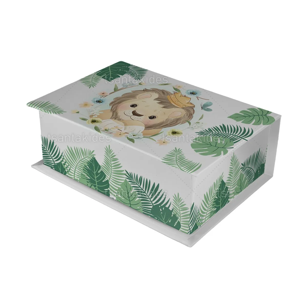 ΚΟΥΤΙ ΚΑΣΕΤΙΝΑ ΚΤ36 – TS430