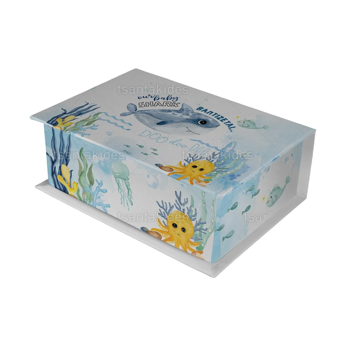 ΚΟΥΤΙ ΚΑΣΕΤΙΝΑ ΚΤ36 – TS432