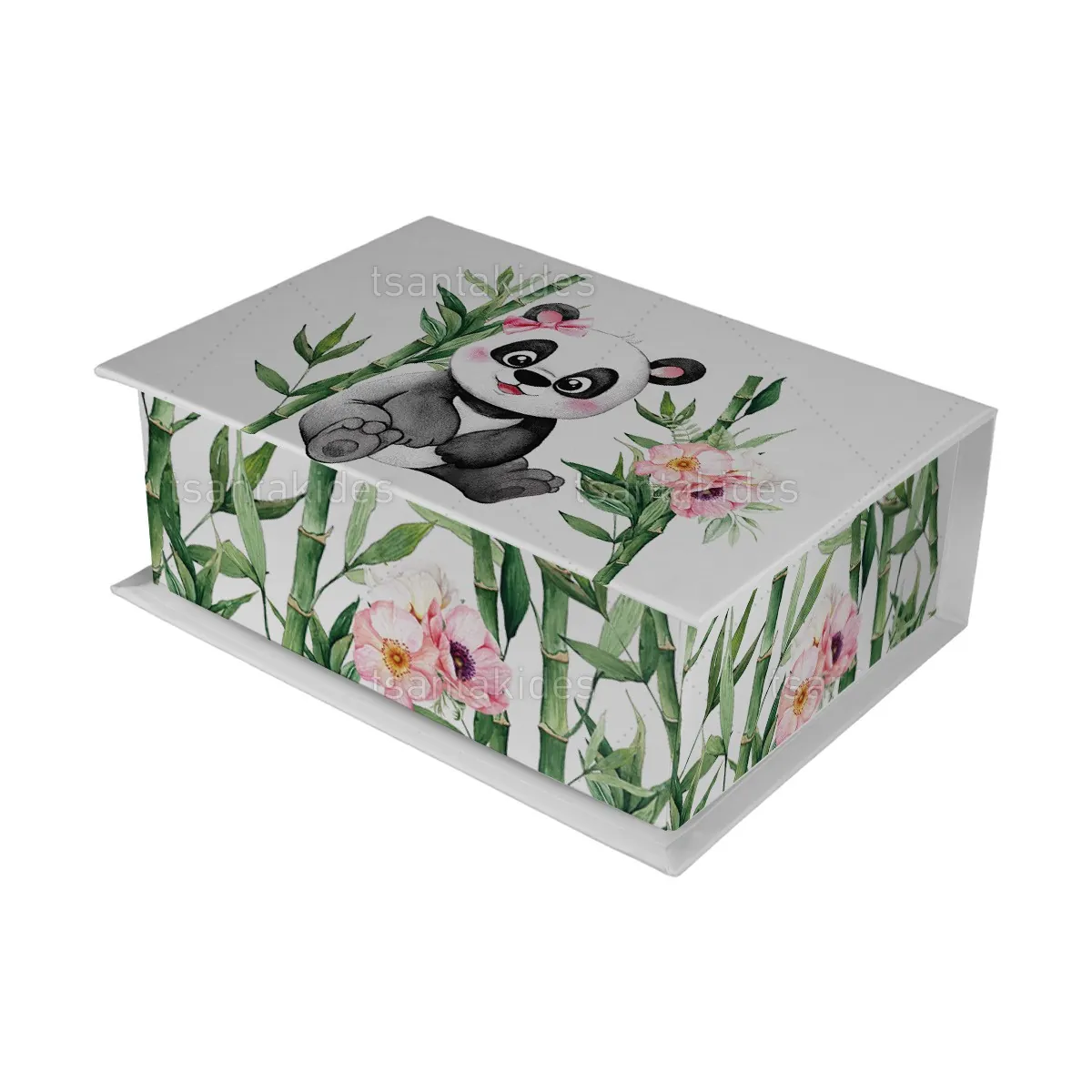 ΚΟΥΤΙ ΚΑΣΕΤΙΝΑ ΚΤ36 – TS440