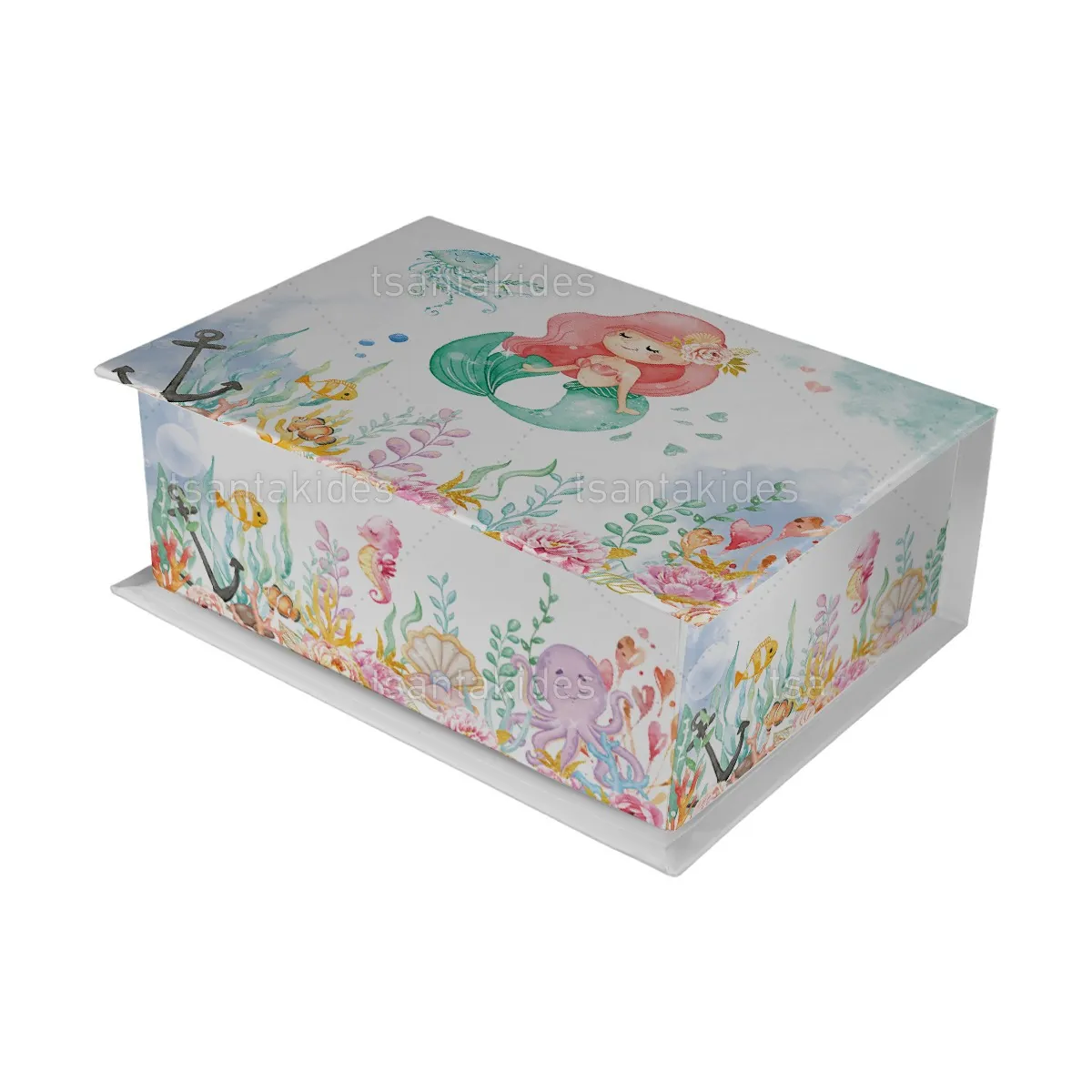 ΚΟΥΤΙ ΚΑΣΕΤΙΝΑ ΚΤ36 – TS449