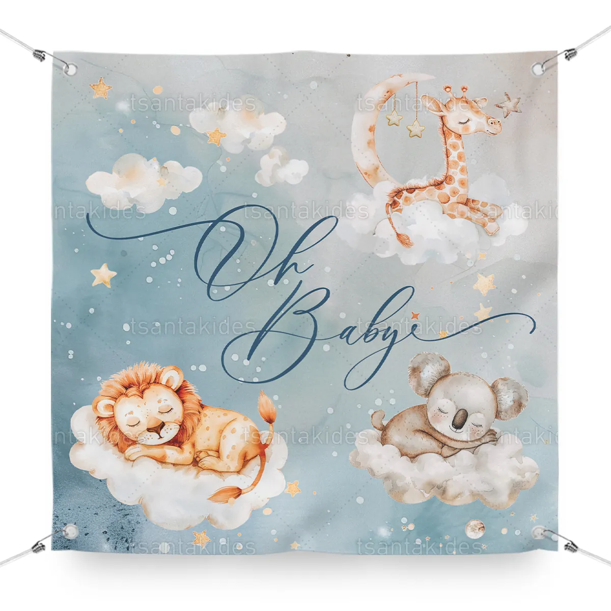 ΜΟΥΣΑΜΑΣ – TS910