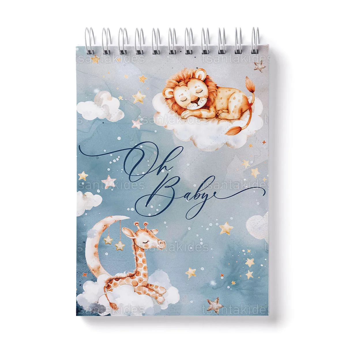 ΜΠΛΟΚΑΚΙ ΖΩΓΡΑΦΙΚΗΣ – TS910