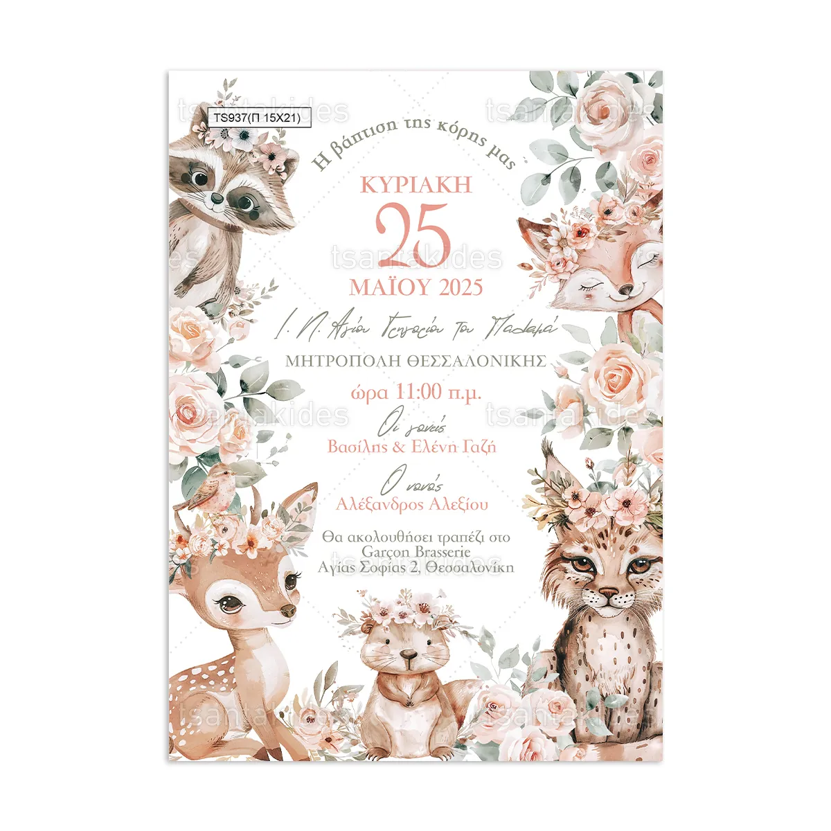 ΠΑΠΥΡΑΚΙ – TS937