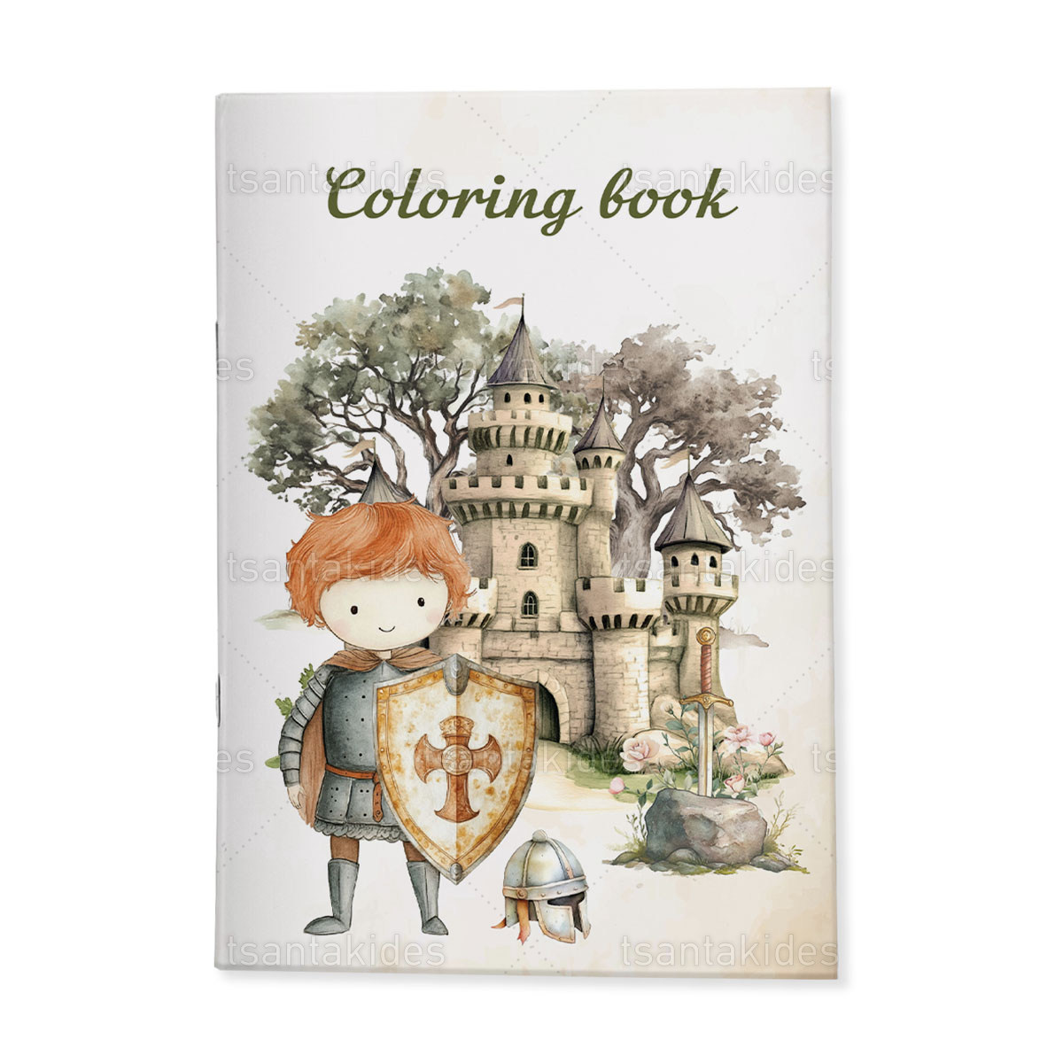 ΣΚΛΗΡΟ ΚΑΠΑΚΙ ΔΙΠΤΥΧΟ ΜΕ ΕΝΘΕΤΟ ΤΕΤΡΑΣΕΛΙΔΟ – TS919