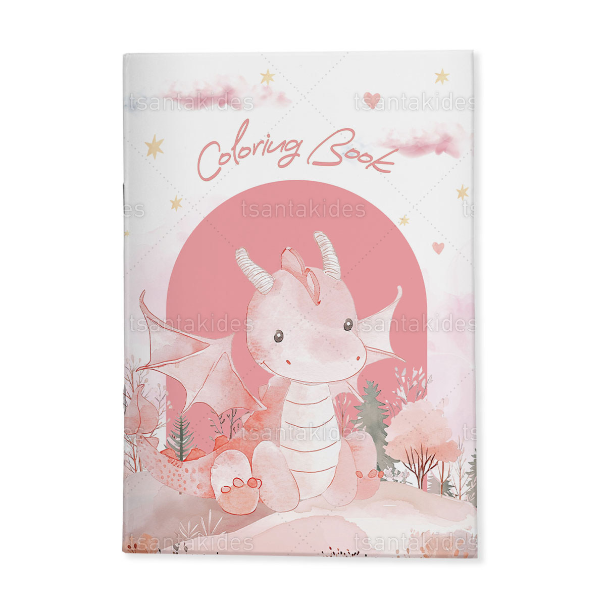 ΣΚΛΗΡΟ ΚΑΠΑΚΙ ΔΙΠΤΥΧΟ ΜΕ ΕΝΘΕΤΟ ΤΕΤΡΑΣΕΛΙΔΟ – TS934