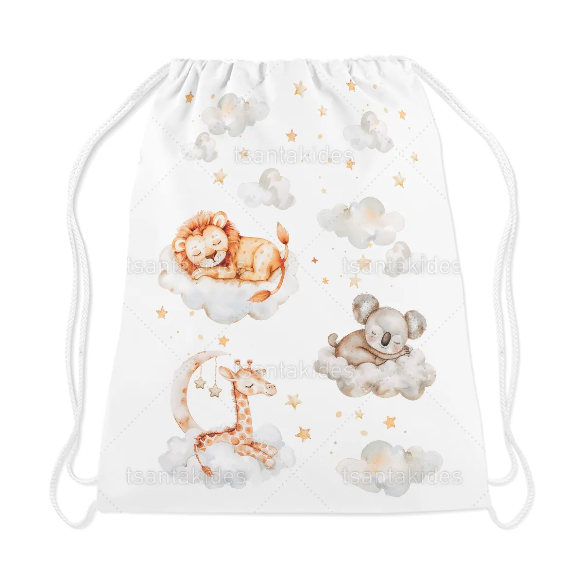 ΥΦΑΣΜΑΤΙΝΟ ΣΑΚΙΔΙΟ ΠΛΑΤΗΣ – TS910